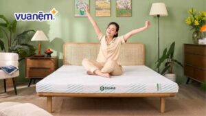 So sánh nệm Dunlopillo và nệm Gummi chi tiết nhất