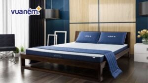 So sánh nệm Edena và nệm Liên Á chi tiết theo từng loại nệm
