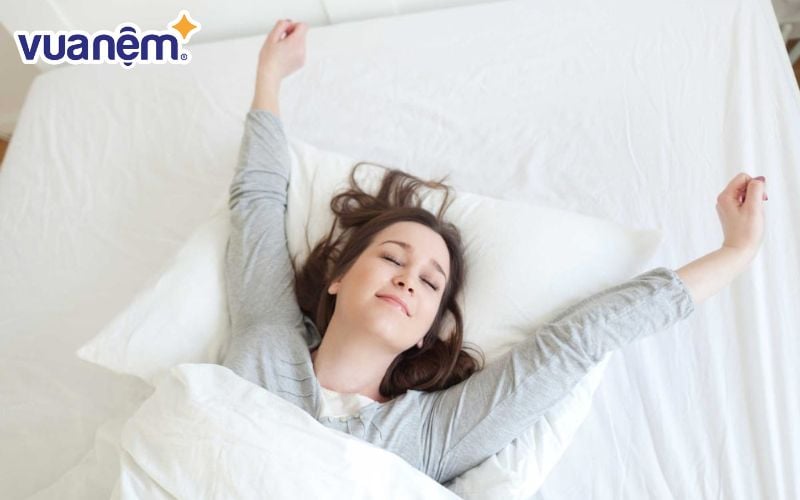 Nệm Thắng Lợi tuy còn non trẻ nhưng đã có chỗ đứng trên thị trường