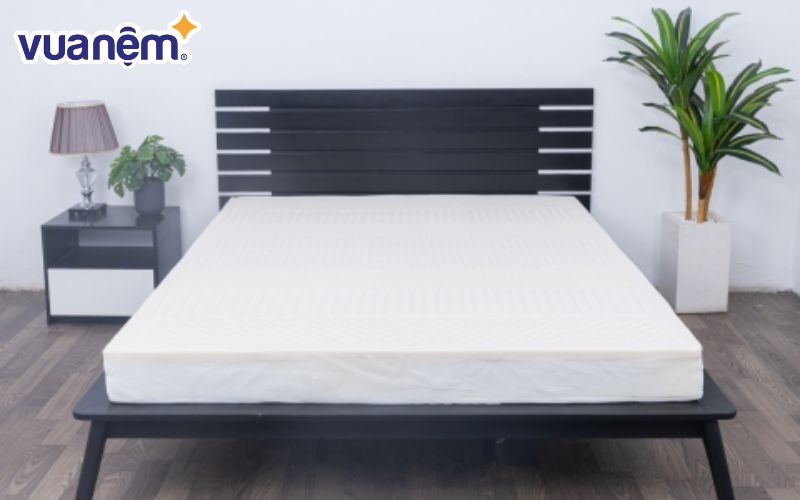 Chọn nệm Hanvico nếu bạn ưu tiên chất lượng cao, thiết kế sang trọng và công nghệ hiện đại