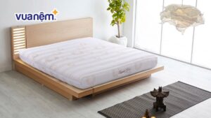 So sánh nệm Hanvico và nệm Thắng Lợi: Loại nệm nào tốt hơn?