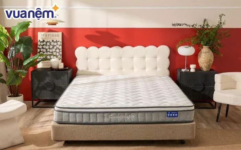 Mua nệm uy tín, chính hãng tại Vua Nệm
