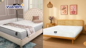 So sánh nệm Kingkoil và nệm Edena đầy đủ, chi tiết