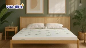 So sánh nệm Tatana và nệm Gummi – Chọn nệm nào phù hợp?