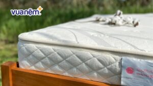 Nệm cao su có phơi nắng được không? Cách xử lý đúng