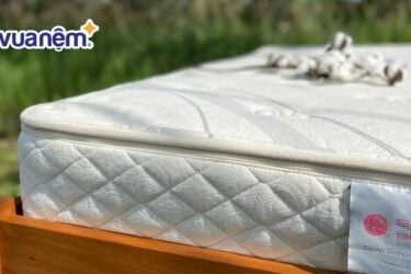 Nệm cao su có phơi nắng được không?