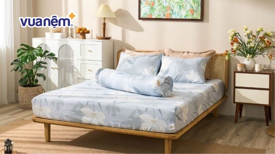 chăn ga gối cotton poly