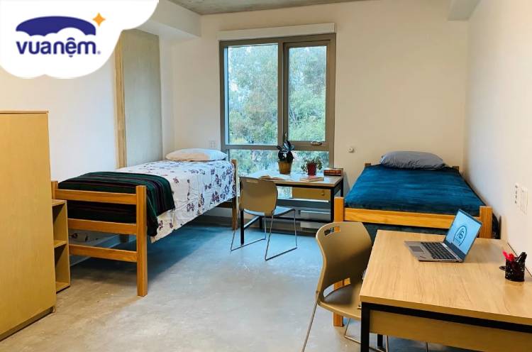 chăn ga gối nệm dành cho học sinh, sinh viên