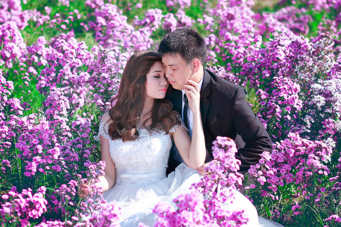 chụp ảnh cưới đẹp ở Thảo nguyên hoa Long Biên hà nội