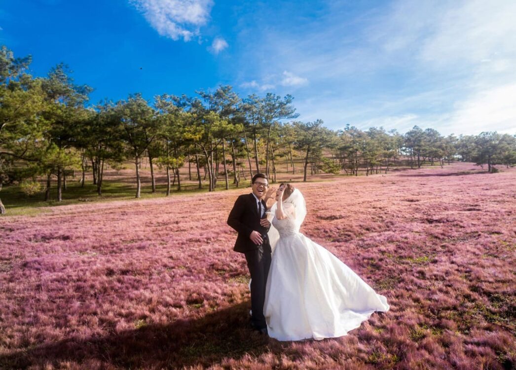 chụp ảnh cưới ở đồi cỏ hồng Đà Lạt