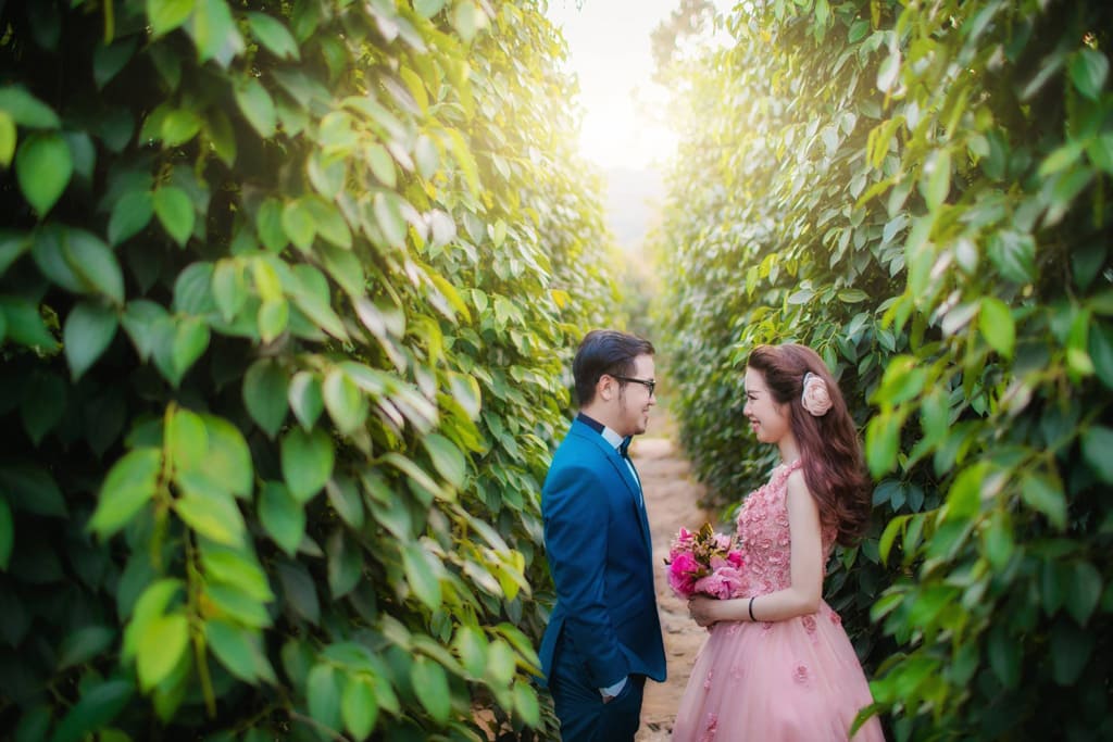chụp ảnh cưới ở vườn tiêu Phú Quốc