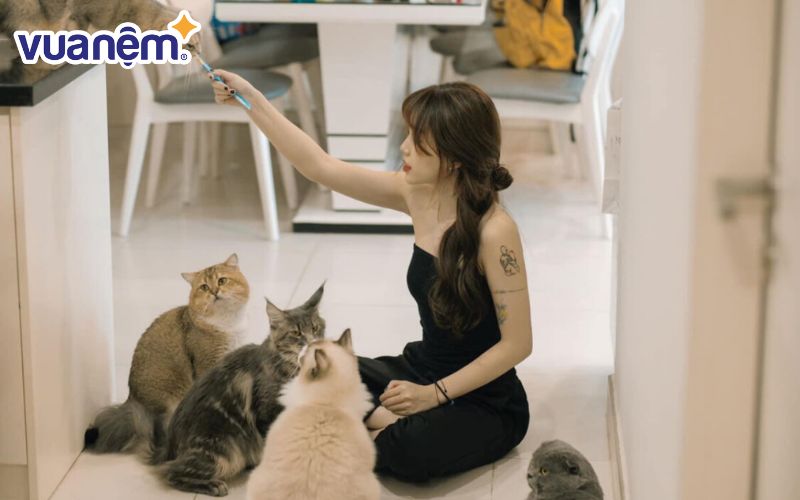 Coffee Pet Shop Cần Thơ hiện đang chăm sóc rất nhiều mèo chủng loại khác nhau