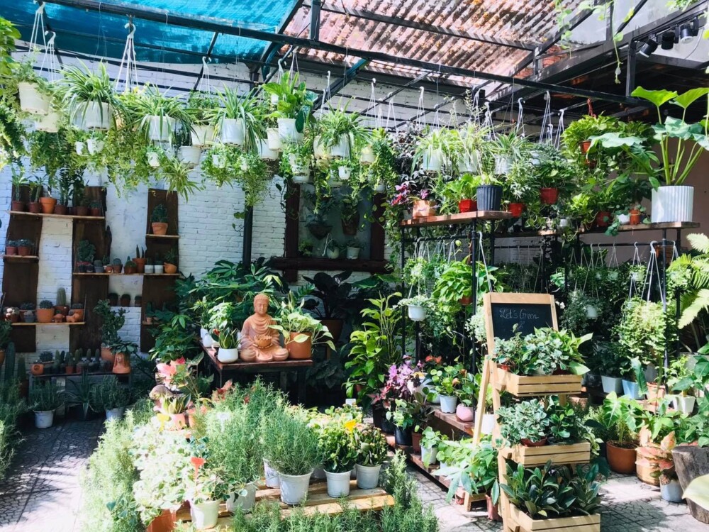 cửa hàng bán cây cảnh Mộc Garden tại đà nẵng