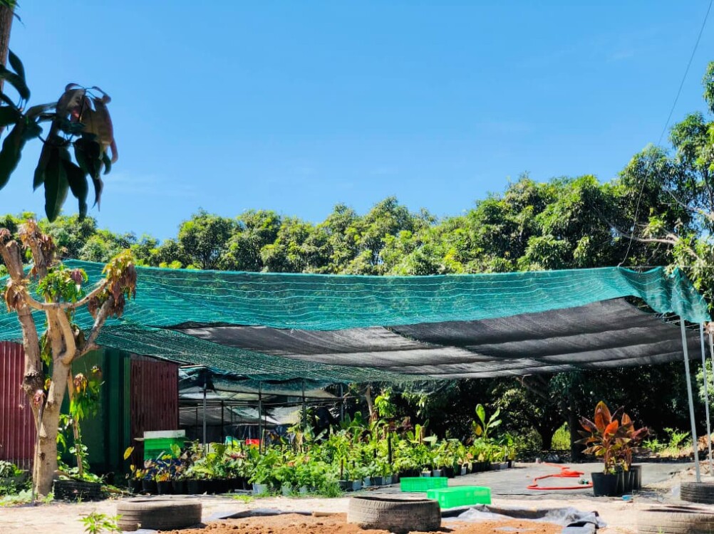 cửa hàng bán cây cảnh suha garden tại Nha Trang