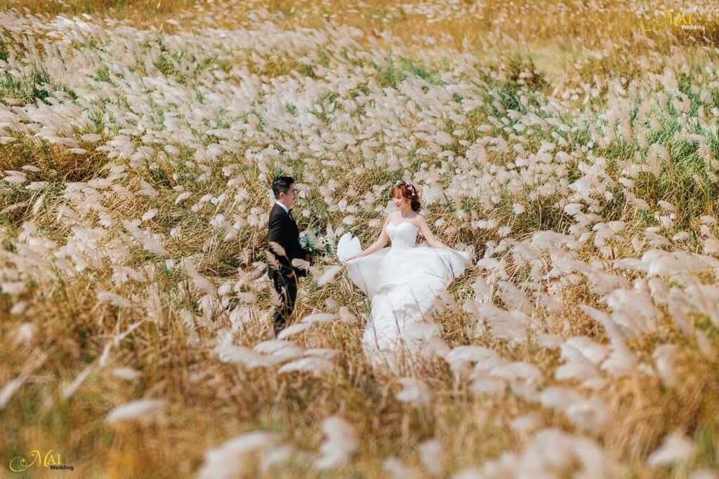 Địa điểm chụp ảnh cưới đẹp tại Đồng cỏ lau cù hin Nha Trang