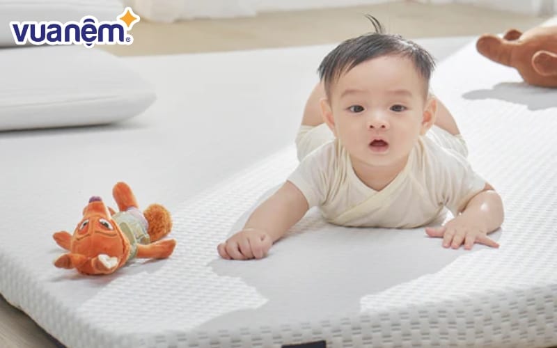 Các sản phẩm từ Vua Nệm được nhiều gia đình tin tưởng nhờ chất lượng ổn định, đa dạng