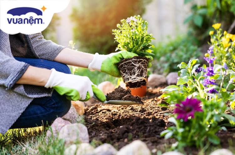 Làm vườn giúp bạn ngủ ngon hơn