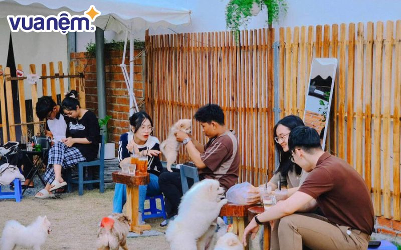 Cà phê thú cưng Muchkin Coffee Petshop rất được các bạn trẻ đón nhận