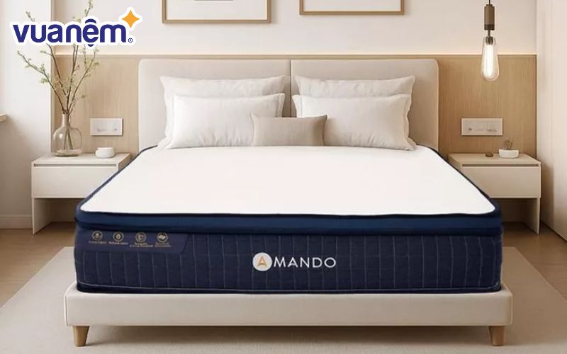 Nệm lò xo Amando Innovation