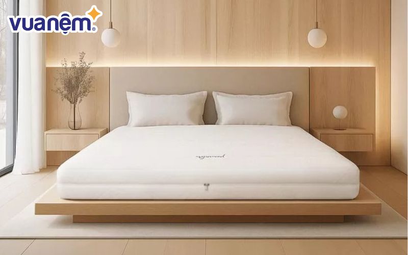 Nệm của nhà Gummi chưa bao giờ làm chúng ta thất vọng