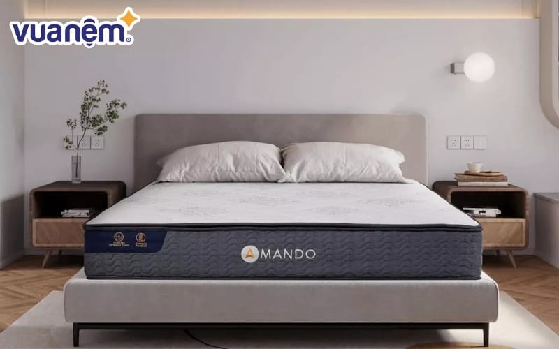 Nệm lò xo cứng vừa Amando Elite Original