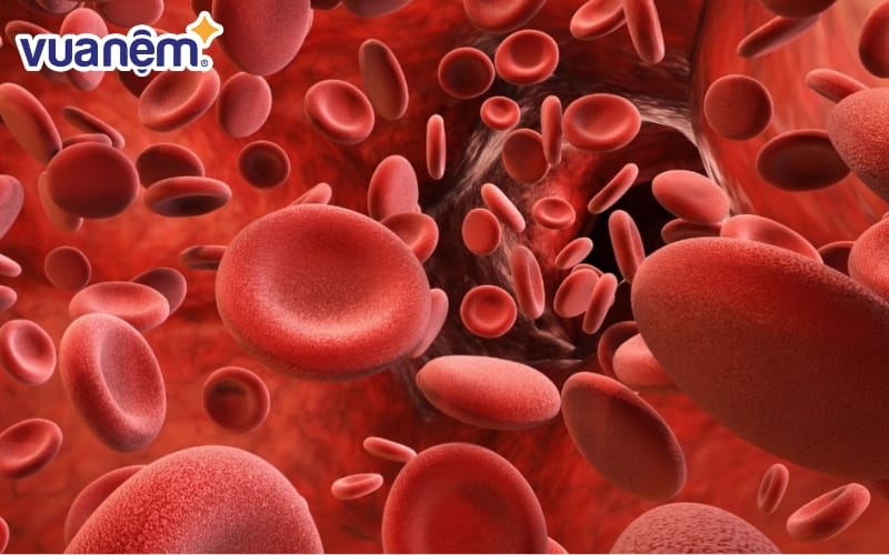 Nhiệt độ sẽ làm giãn nở các mạch máu ở bàn chân, từ đó kích thích khí huyết lưu thông đều khắp cơ thể