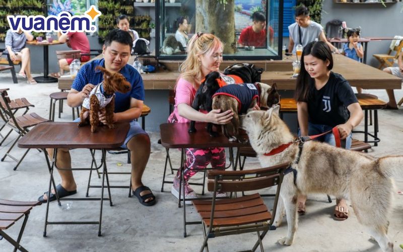 Pet Coffee garden với thiết kế sân vườn mát mẻ