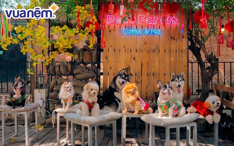 Pet's Forest Coffee với những chú chó đáng yêu