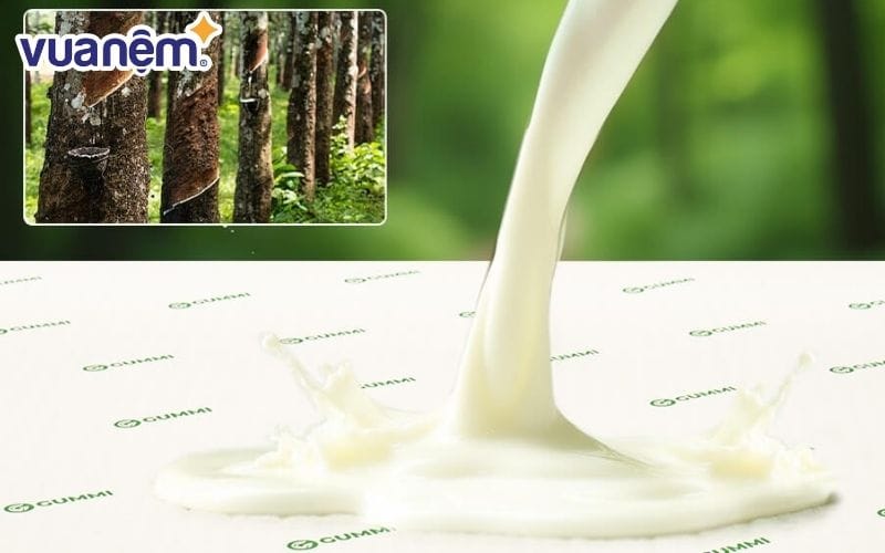 Cao su thiên nhiên được làm từ mủ cao su