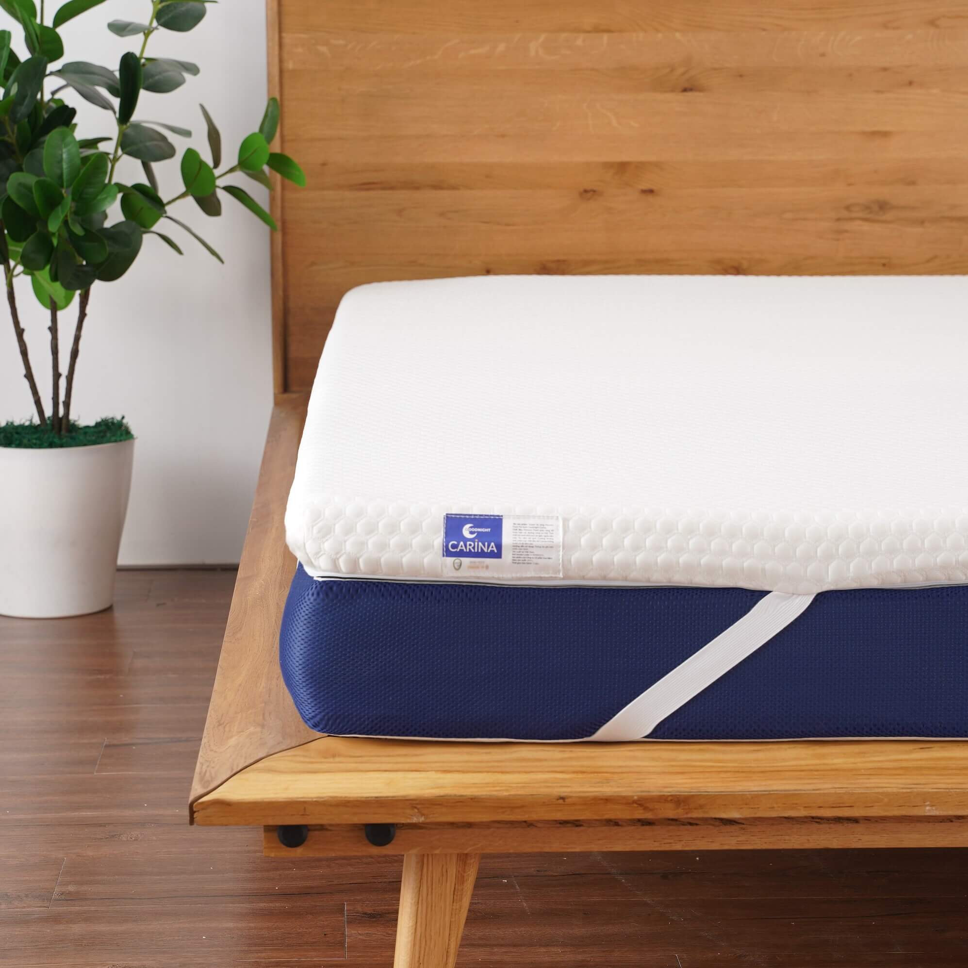 Topper memory foam tinh chất trà xanh Goodnight Carina gia tăng sự êm ái