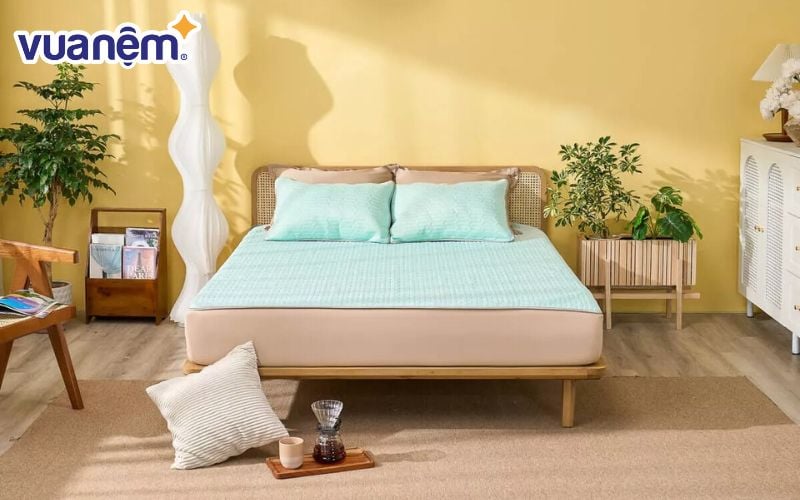 Chiếu cao su Doona Aqua