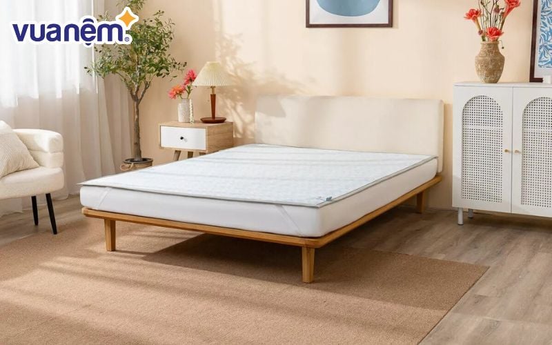 Chiếu Doona Wave 5D