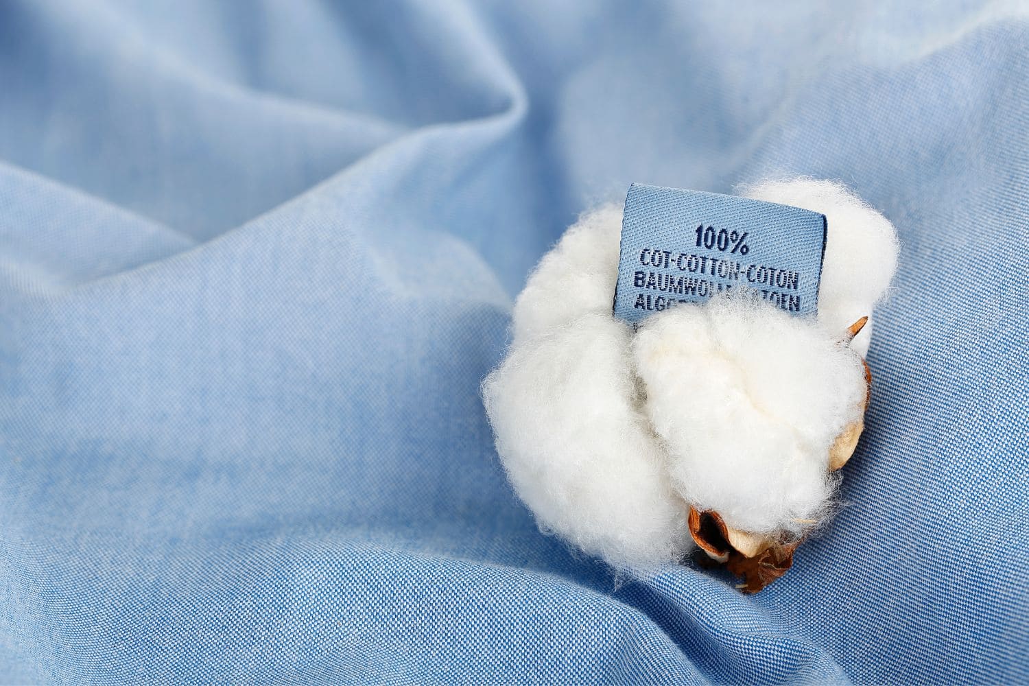 vải cotton organic là gì