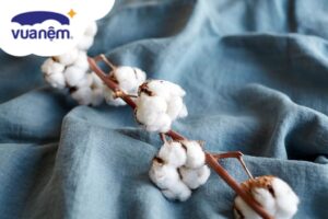 Vải cotton organic và vải cotton: Liệu chỉ là sự khác nhau ở tên gọi?