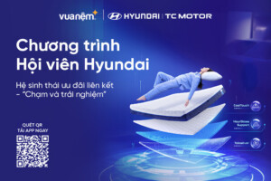 Ưu đãi độc quyền – Dành riêng cho hội viên Hyundai – Giảm thêm 8% khi mua chăn ga gối nệm