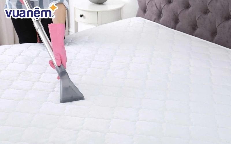 Nắng Xanh giúp loại bỏ toàn bộ bụi bẩn, vi khuẩn tích tụ trong nệm