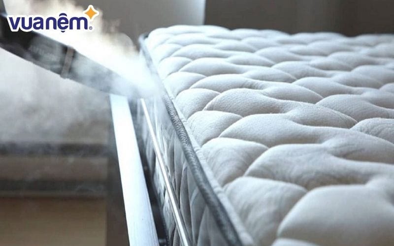 Đại Dương Xanh, dịch vụ giặt nệm tại nhà Vũng Tàu chuyên nghiệp