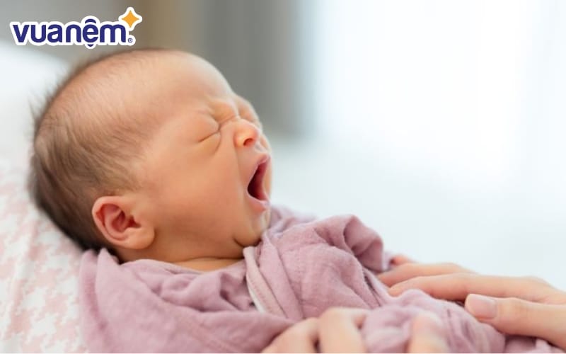 Giấc ngủ REM đóng vai trò quan trọng trong sự phát triển của trẻ sơ sinh
