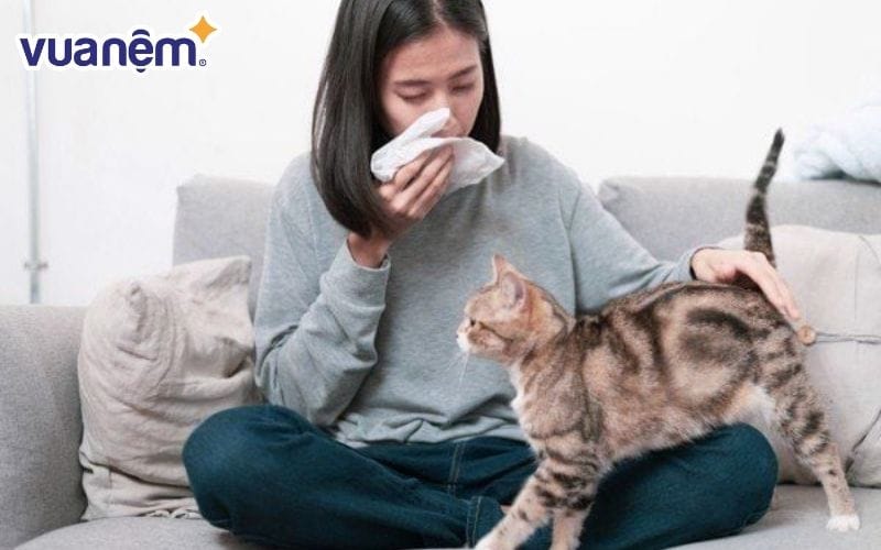 Lông chó, mèo bám trên giường nệm cũng có thể gây dị ứng khi ngủ