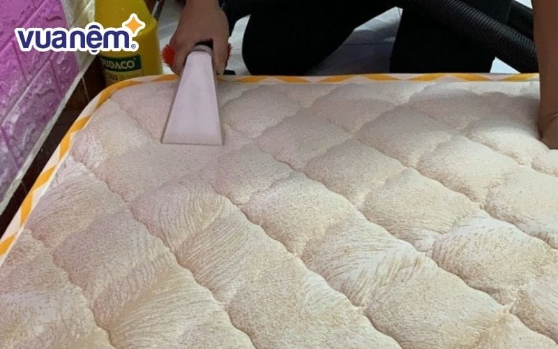 Công ty Nguyên Phát thực hiện dịch vụ vệ sinh nệm tại nhà TP.HCM