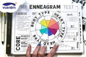 Enneagram Là Gì? Tổng hợp các nhóm tính cách Enneagram phổ biến