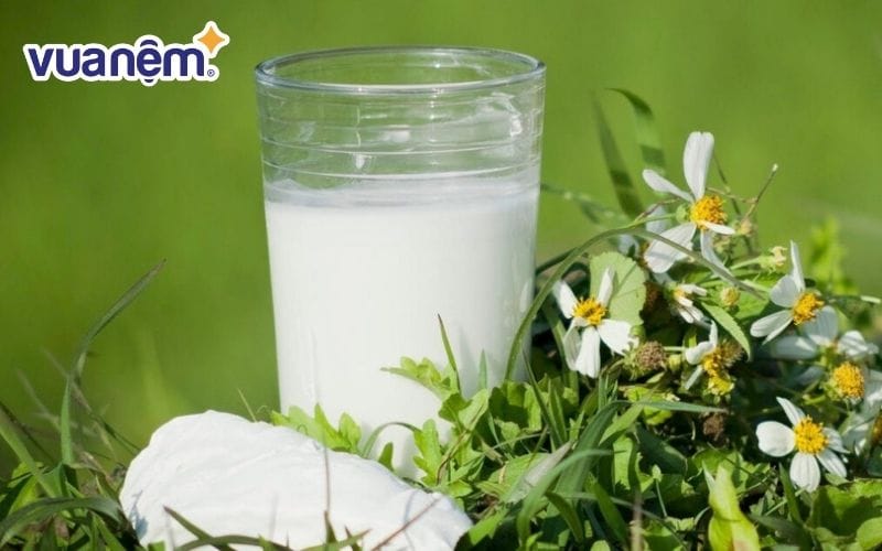 Không nên uống sắn dây trước khi đi ngủ