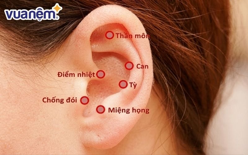 Kích thích các huyệt đạo