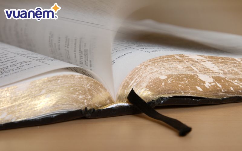 Nếu là một con chiên của Thiên Chúa, hẳn bạn đã biết đến tầm quan trọng của việc đọc kinh tối trước khi đi ngủ