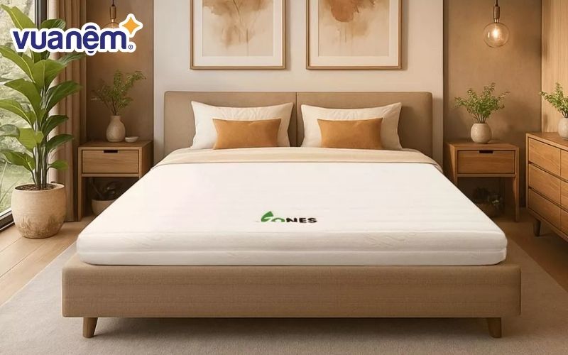 Nệm cao su Gummi 7zones