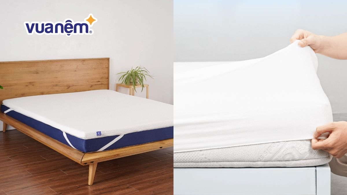 so sánh topper nệm và tấm bảo vệ nệm