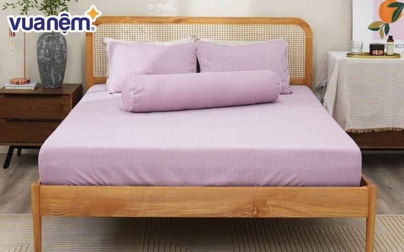Bộ ga chun polyester gấm Amando Ellie đơn sắc 4 chi tiết