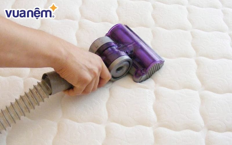 Nhà Việt Clean là đơn vị chuyên cung cấp dịch vụ vệ sinh nệm tại nhà ở Biên Hòa