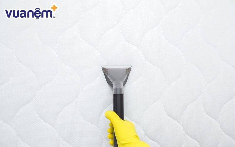 Công ty Nguyên Phát thực hiện dịch vụ vệ sinh nệm tại nhà TP.HCM