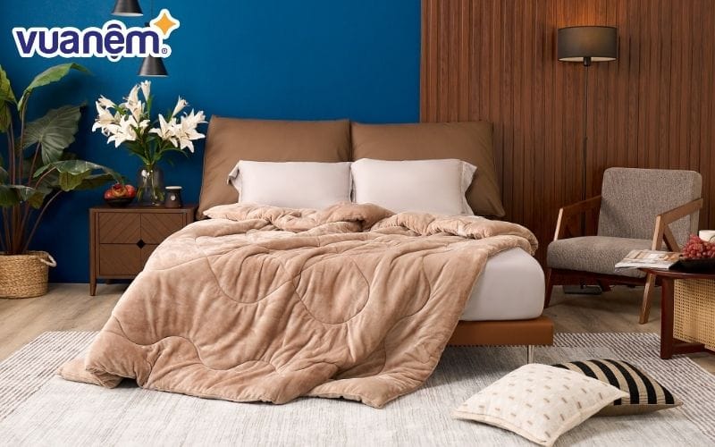 Ngủ ngon sẽ sống thọ hơn - Bạn hãy thiết lập giờ giấc ngủ và đảm bảo không gian lý tưởng để ngủ ngon hơn